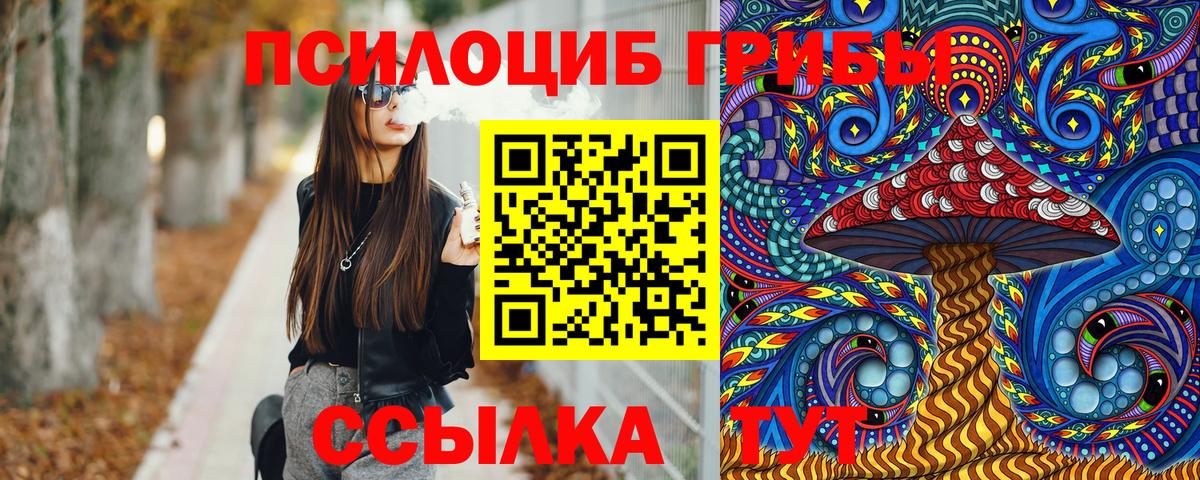 Псилоцибиновые грибы мухоморы Удомля