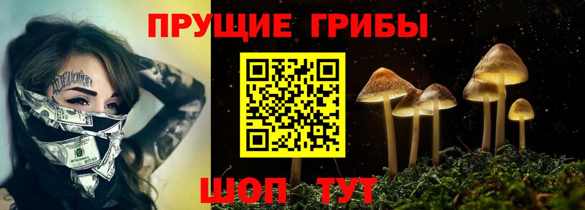 Псилоцибиновые грибы MAGIC MUSHROOMS  Вход с VPN  Удомля 